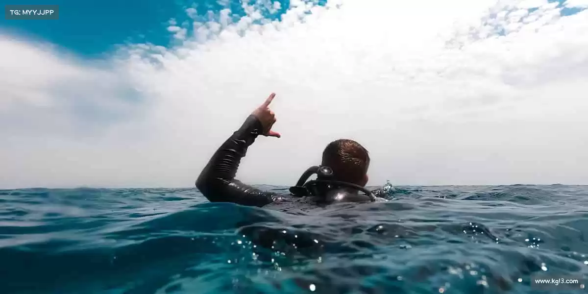 为什么选择我们